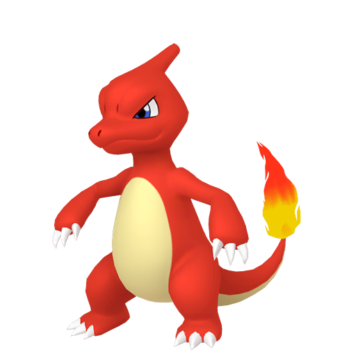 火恐龍 Charmeleon