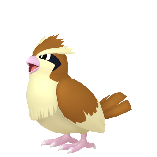 波波 Pidgey