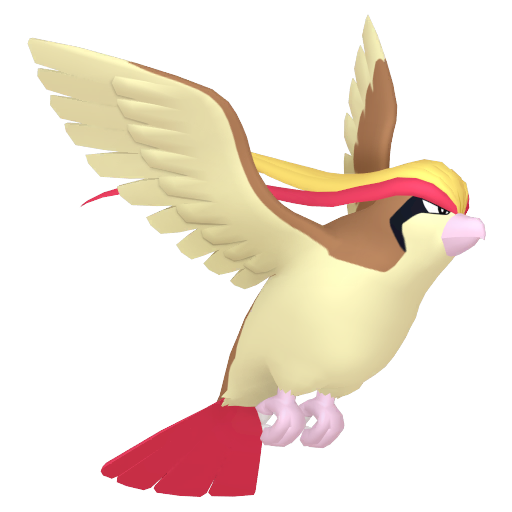 大比鳥 Pidgeot