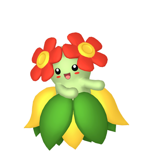 美麗花 Bellossom