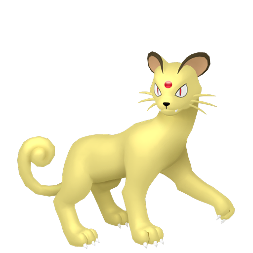 貓老大 Persian