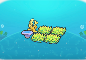 海底草叢與珊瑚