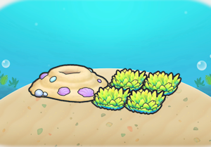 沙地海底草叢