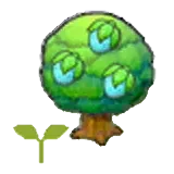 莓莓樹苗