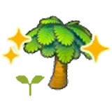 椰子樹苗