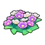 草地的花