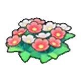 草地的花