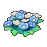 草地的花