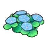 海邊的花