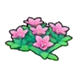 岩地的花