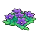 岩地的花