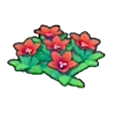 岩地的花