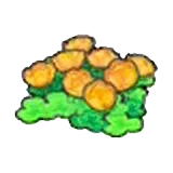 空島的花