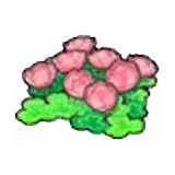 空島的花