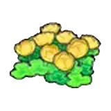 空島的花