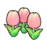 可愛的花