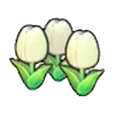 可愛的花