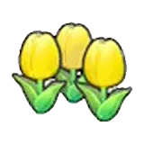 可愛的花