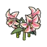 優雅的花