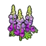 堅韌的花