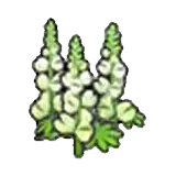 堅韌的花
