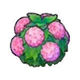 水潤花籬