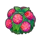 水潤花籬