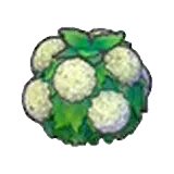 水潤花籬