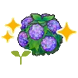 水潤花籬的苗