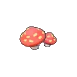 Cave mushrooms