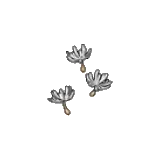 Cotton spores