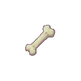 貴重骨頭