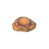 頭蓋化石