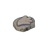 鰭之化石