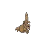 頭槌化石(尾巴)
