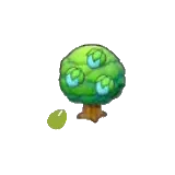 莓莓種子