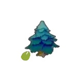 三角樹的種子