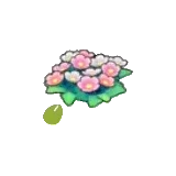 草地的花的種子