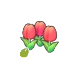 可愛的花的種子