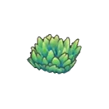 綠草