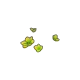 淺綠色嫩草