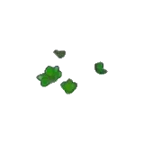 深綠色的嫩草