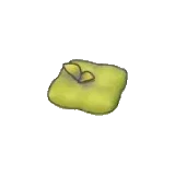 苔蘚