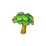 椰子樹