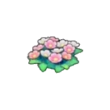 草地的花