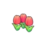 可愛的花