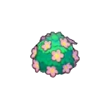 可愛花籬