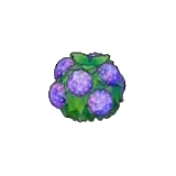 水潤花籬