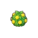 雅致花籬