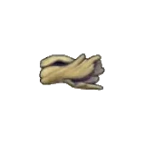 漂流木
